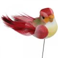 Floristik24 Printemps, oiseau sur fil de fer, fleurs colorées plugs H2.5cm 24pcs