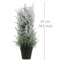 Floristik24 Genévrier artificiel en pot, plante artificielle H47cm