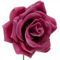 Floristik24 Roses en cire déco roses wax rose Ø8cm 12p