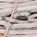 Couronne en branches de saule