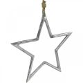 Floristik24 Décoration de Noël étoile, décoration de l&#39;avent, pendentif étoile argent L24,5cm
