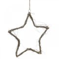 Floristik24 Décoration de Noël étoile étoiles blanchies à suspendre orme 30cm 4pcs