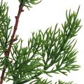 Floristik24 Branches de Noël branche de cyprès déco branches de cyprès 50cm 4pcs