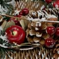 Floristik24 Guirlande de Noël avec fruits décoratifs enneigés en Ø33cm