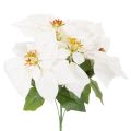 Floristik24 Kunstblume poinsettia blanc grande fleur 40 cm