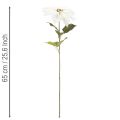Poinsettia blanc artificiel, grande branche fleurie décorative, 65 cm, 2 pièces | Floristik24.fr