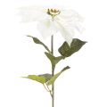 Poinsettia blanc artificiel, grande branche fleurie décorative, 65 cm, 2 pièces | Floristik24.fr