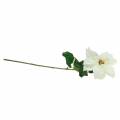 Poinsettia, fleur artificielle blanche 67cm | Floristik24.fr
