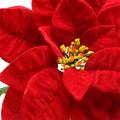 Floristik24 Poinsettia fleur artificielle rouge 67cm