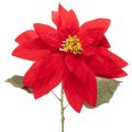 Floristik24 Fleur artificielle Poinsettia rouge sur tige 82 cm