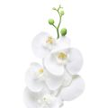 Floristik24 Orchidée artificielle blanche Phalaenopsis Real Touch 85cm