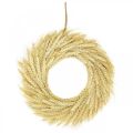 Floristik24 Couronne naturelle, couronne de blé, couronne de blé, couronne de grain 30cm