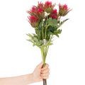 Kitschener Twigue de chardon artificiel rouge 67 cm pour décoration intérieure, Lot de 3 | Floristik24.fr