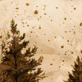 Photophore en verre motif forêt de sapins enneigée 15 cm pour intérieur | Floristik24.fr