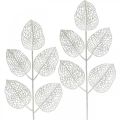 Floristik24 Décoration d&#39;hiver, feuilles déco, branche artificielle paillettes blanches L36cm 10p