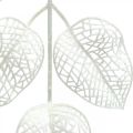 Floristik24 Décoration d&#39;hiver, feuilles déco, branche artificielle paillettes blanches L36cm 10p