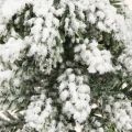 Décoration d'hiver Sapin de Noël en vert blanc Ø7cm H14cm 4pcs | Floristik24.fr