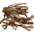 Floristik24 Décorations en bois naturel séché 18 cm 500 g
