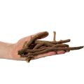 Décorations en bois naturel séché 18 cm 500 g | Floristik24.fr