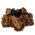 Floristik24 Pot de plantation en forme d'étoile en pommes de pin 30cm naturel