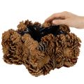 Pot de plantation en forme d'étoile en pommes de pin 30cm naturel | Floristik24.fr