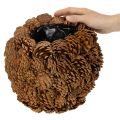 Cache-pot décoratif en pommes de pin rond 27 cm marron naturel | Floristik24.fr