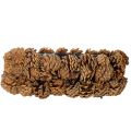 Pflanzschale en pommes de pin