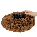 Vasque ronde en pommes de pin naturelles 38 cm brun 14 cm | Floristik24.fr