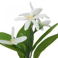 Branche déco citron et fleurs branche artificielle décoration d'été 26cm 4pcs | Floristik24.fr