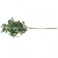 Floristik24 Plantes artificielles de sauge feuilles de sauge décoration florale décoration de sauge 68cm 2pcs