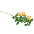 Floristik24 Branche décorative artificielle branche de poirier jaune 75cm