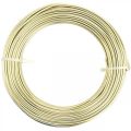 Floristik24 Fil aluminium Ø2mm fil déco champagne rond 480g