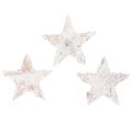 Floristik24 Mini étoiles en écorce de bouleau blanchies 2 à 2,5 cm – Lot de 150