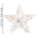 Mini étoiles en écorce de bouleau blanchies 2 à 2,5 cm – Lot de 150 | Floristik24.fr