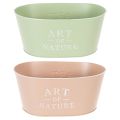 Coupe à fleurs ovale en zinc, 27 x 18 cm, H 12,5 cm, couleurs variées | Floristik24.fr