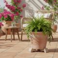 Pieds pour pots de fleurs en terre cuite - Lot de 3 - Hauteur 7 cm - Marron | Floristik24.fr