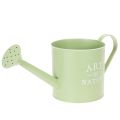 Floristik24 Pot de fleurs, arrosoir décoratif, jardinière en zinc vert menthe, Ø16,5 cm