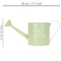 Pot de fleurs, arrosoir décoratif, jardinière en zinc vert menthe, Ø16,5 cm | Floristik24.fr