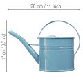 Arrosoir décoratif en métal bleu, pot de fleurs, 28 x 13 x 17 cm, 1,25 l, décoration de jardin ou de balcon. | Floristik24.fr