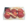 Floristik24 Pommes décoratives 4cm rouge foncé 6pcs