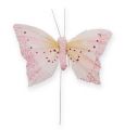 Floristik24 Papillon décoratif sur tige pastel 8 cm 12 p.