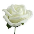 Floristik24 Rose en mousse Ø6cm blanc 27p