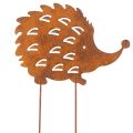 Floristik24 Piquet de jardin décoratif en forme de hérisson à patine rouillée, 20 cm
