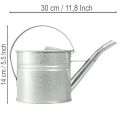 Arrosoir décoratif vintage, métal argenté, pot de fleurs de 1,25 l | Floristik24.fr