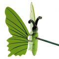 Floristik24 Papillon sur bâton 17cm vert