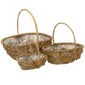 Panier en osier naturel avec