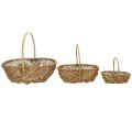 Panier en osier naturel avec film plastique – Lot de 3 tailles | Floristik24.fr