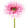 Floristik24 Fleurs artificielles Gerbera rose 47 cm avec tige flexible – Lot de 6