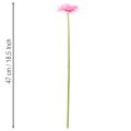 Fleurs artificielles Gerbera rose 47 cm avec tige flexible – Lot de 6 | Floristik24.fr