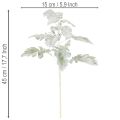 Branche artificielle de séneçon (Senecio), finement travaillée, 45 cm, 3 pièces | Floristik24.fr